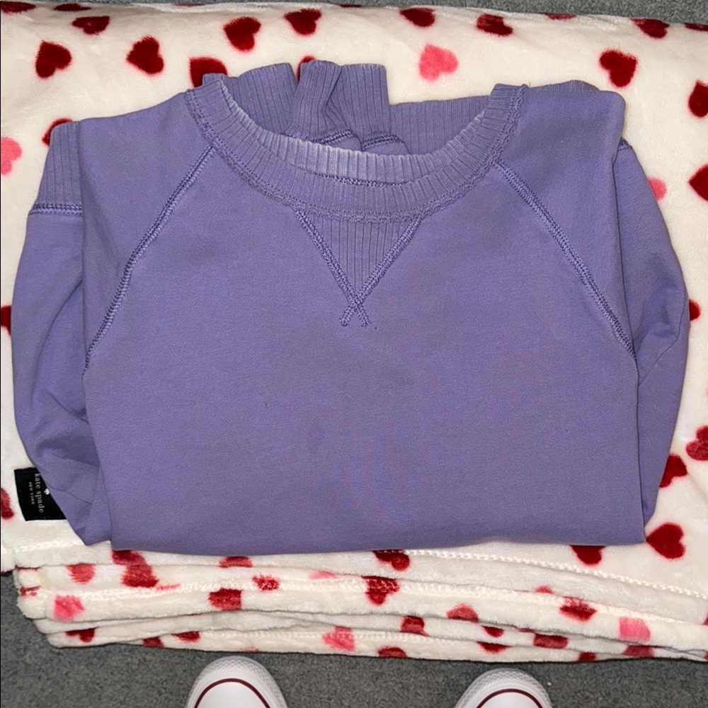 American Eagle Purple Crewneck Sweatshirt